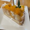 ARROW TREE LAQUE四条烏丸店
