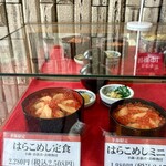 田園 亘理店 - 食品サンプル