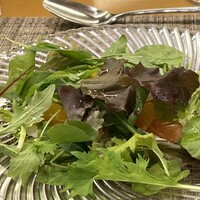 ヤマガタ サンダンデロ - 