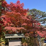 そば処 三津屋 - 