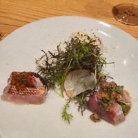 Selvaggio - 