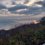 チェロステラート ウィンザー - 