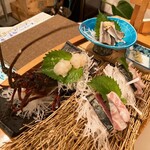 波太 オルビス - 