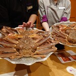 やど紫苑亭 - 活け松葉ガニ①