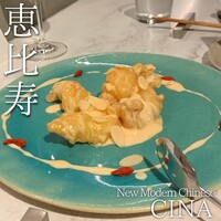 CINA New Modern Chinese - 