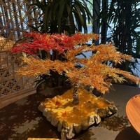 TENJIN - 