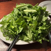 カルネジーオ イースト - 