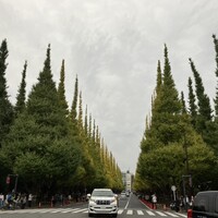 キハチ 青山本店 - 
