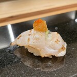 鮨と天草大王 天音 - 