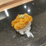 鮨と天草大王 天音 - 