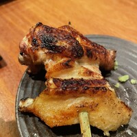 鳥ばか一代 - 