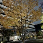 炭火晩酌屋 煙 - 