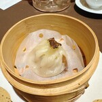 ファン・ダルクオーレ - 