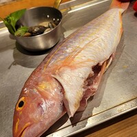 魚タリアン YO - 