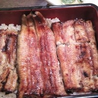 新宿 うなぎ菊川 - 特上