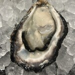 ヴィノーブル - 