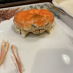 うを徳 - 越前産松葉蟹