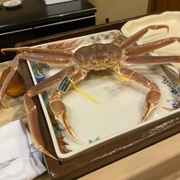 うを徳 - 越前産 松葉蟹 （オス)　生