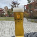 月の貌 - 