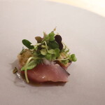 ess. - 鰆とグレープフルーツのカルパッチョ