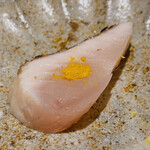 馳走 啐啄一十  - 