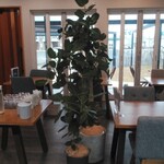 maison coffee - 店内