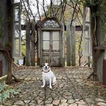 GAFLO CAFE by Flower FIELD - 