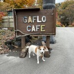 GAFLO CAFE by Flower FIELD - 