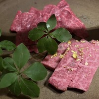 日本焼肉 はせ川 銀座店 - 