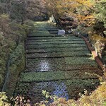 滝口わさび園 - 