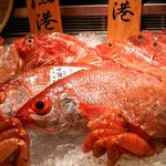 八吉 - 漁港直送の自慢の鮮魚が入り口でお出迎え。