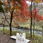 せきれい橋 川上庵 - 