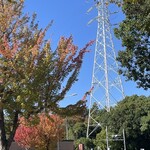 インデアンレストラン  ニューミラ - 