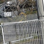 インデアンレストラン  ニューミラ - ゴーヤは片付けられて跡形も無かった。真っ黄色の花にヤマトシジミがとまって蜜を吸っていたのはまだ2週間前…