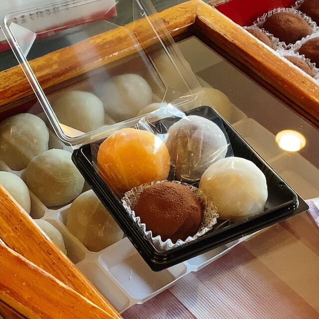 Minoo Satsukian photo 2