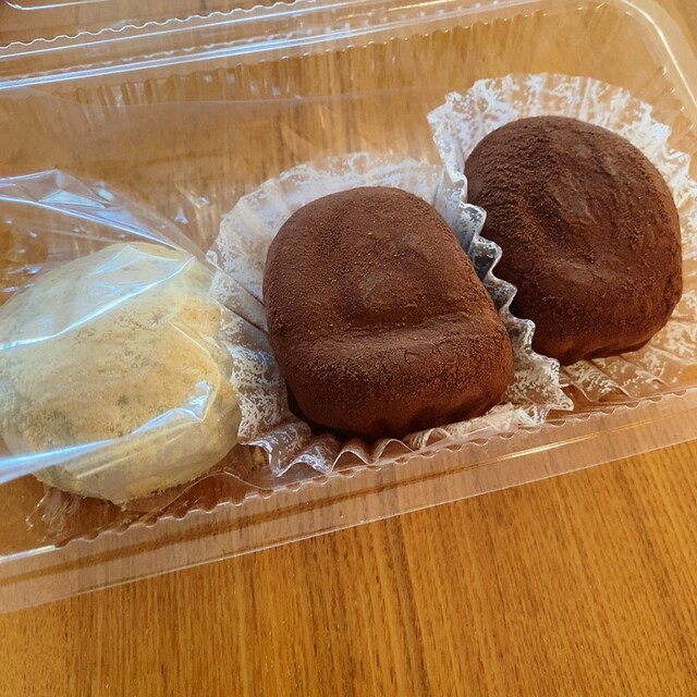 Minoo Satsukian photo 4