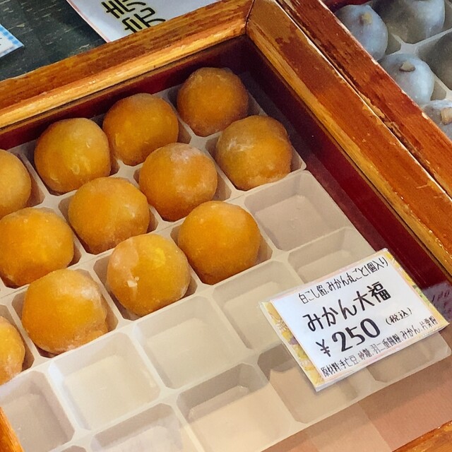 Minoo Satsukian photo 3