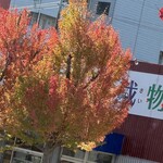 インデアンレストラン  ニューミラ - 