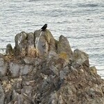 いまご荘 櫂の詩 - 