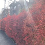 Usagi no Mori Karuizawa Ten