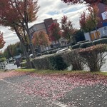 インデアンレストラン  ニューミラ - 紅葉散り敷くミラ前の歩道