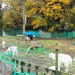 鉄師 卜蔵家 鈩の舎 カフェタタラノイエ - 