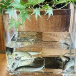 湖里庵 - 焼く前に品定め(ΦωΦ+)ﾎﾎｩ....