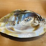 湖里庵 - この貝殻が……