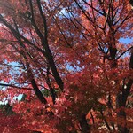  蕎麦 和太奈部 - 