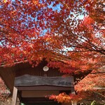  蕎麦 和太奈部 - 