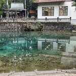 浜料理がんがん - 初めて来た別府弁天池。岐阜のモネの池と遜色ない位綺麗な水です。