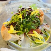 トラットリア イル レガーロ - ◼︎前菜1皿目 本マグロと真鯛、自家製あん肝のカルパッチョ