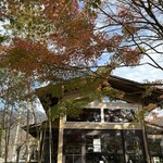 水辺のカフェテラス - 