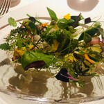 レフェルヴェソンス - 